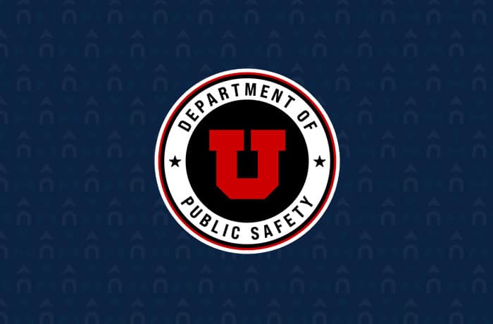 Department of Public Safety logo